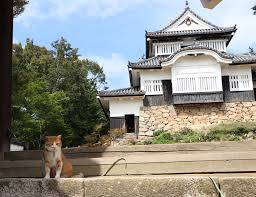 新しい年を迎えて初めての火曜日