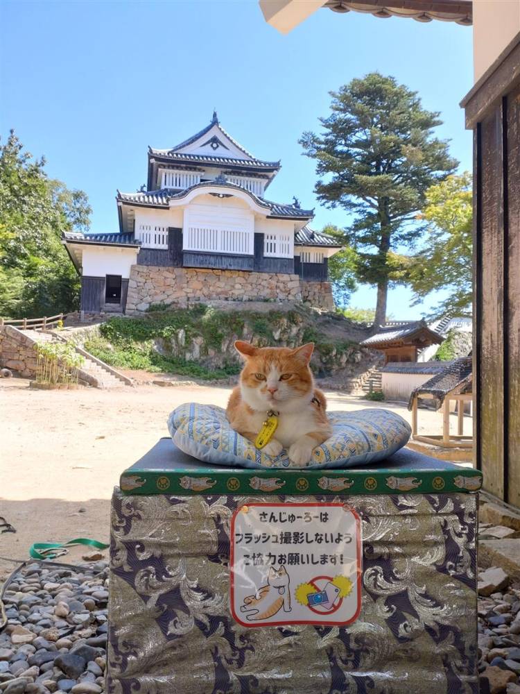 予想最高気温は９℃