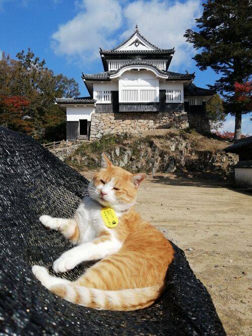 本日も宜しくお願いいたします