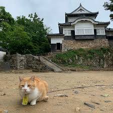 予想最高気温は昨日と同じ９℃