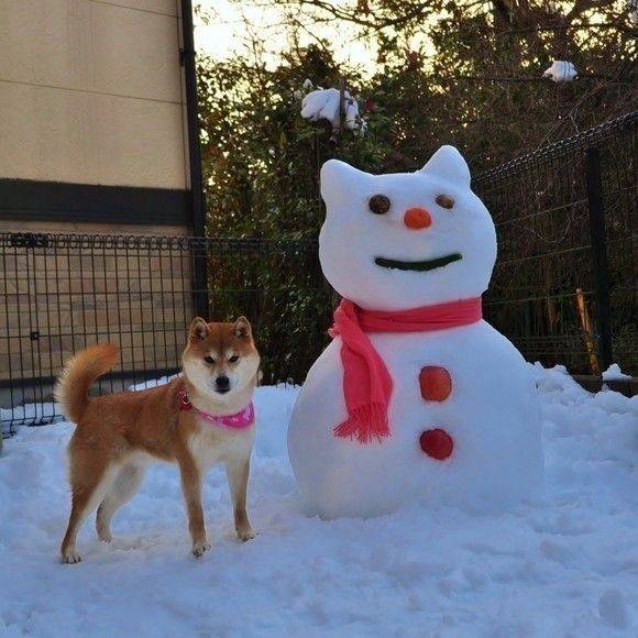 本日も宜しくお願いいたします