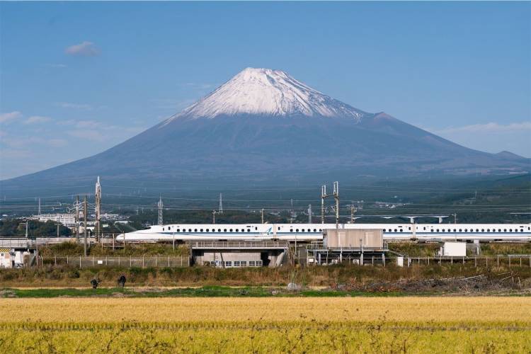 新しい年を迎えて４回目の水曜日