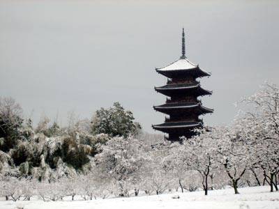 予想最高気温は８℃