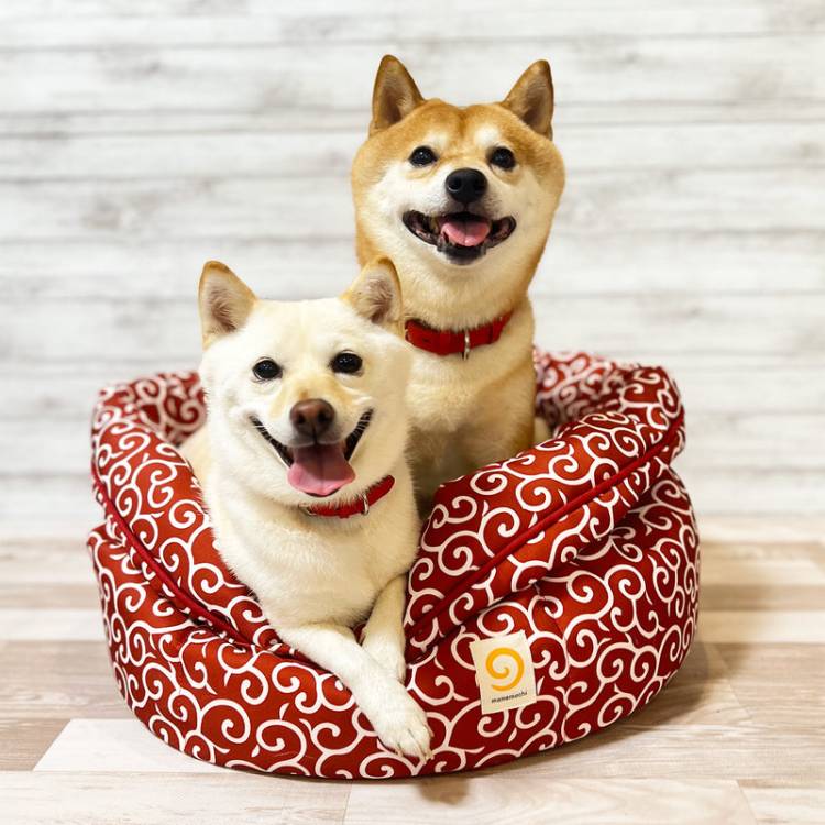 ありがとうございました