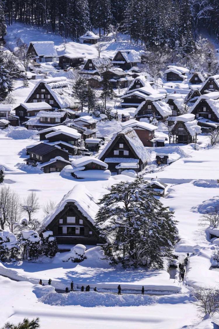 ２月になって初めての水曜日