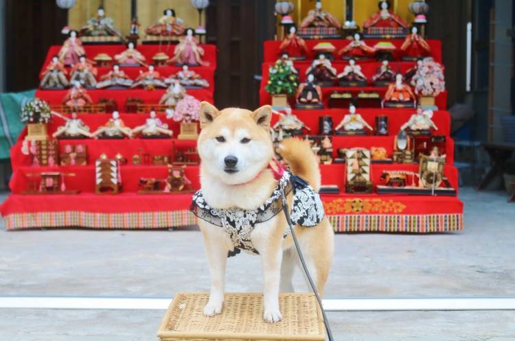 本日も宜しくお願いいたします