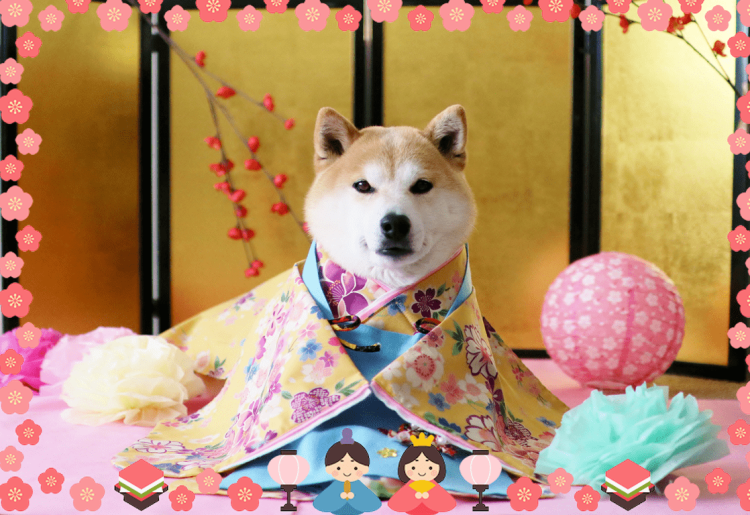 ありがとうございました