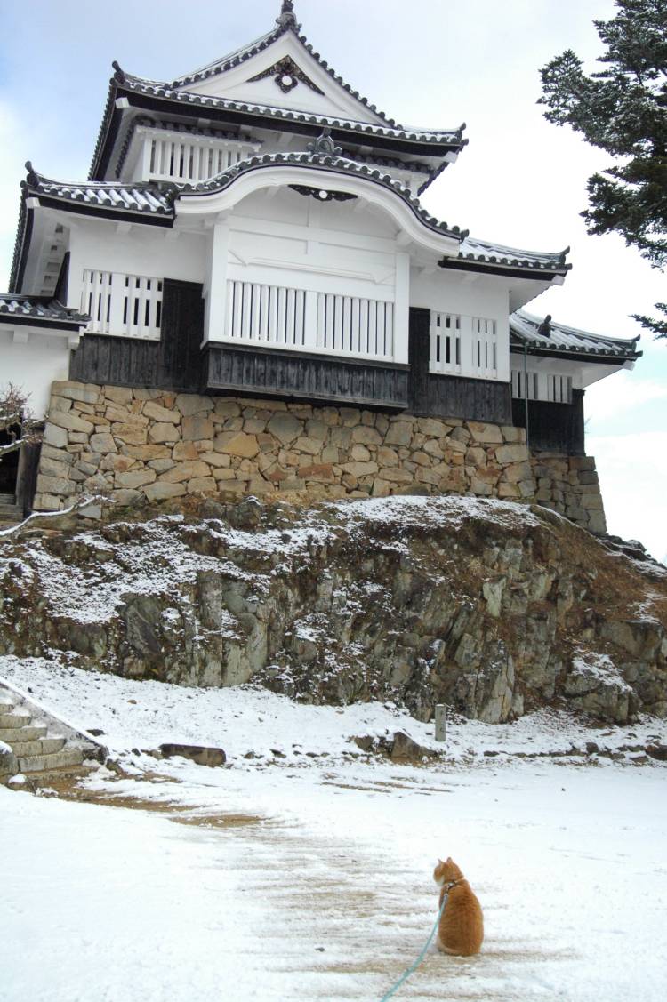 予想最高気温は７℃