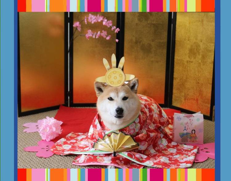 お疲れ様でした