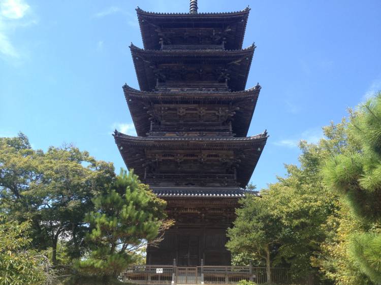予想最高気温は８℃