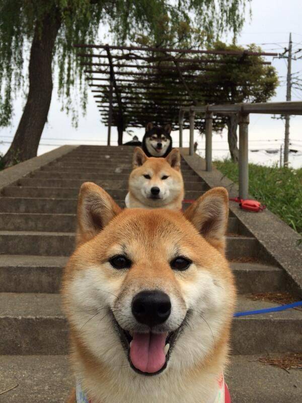 お疲れ様でした