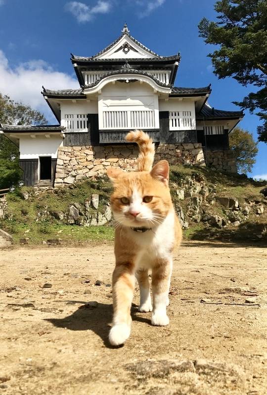 予想最高気温は７℃