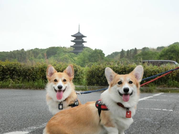 本日も宜しくお願いいたします