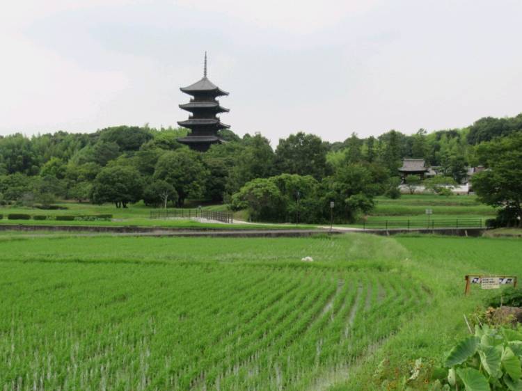 予想最高気温は１０℃