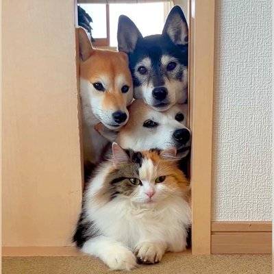 お疲れ様でした