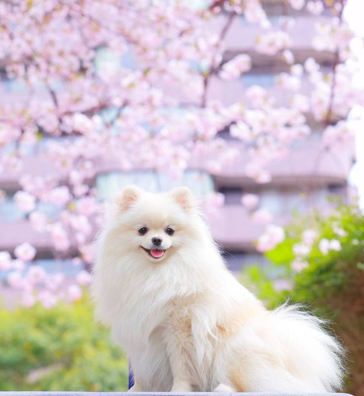 リピーターのＴ様に感謝～です