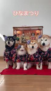 ありがとうございました