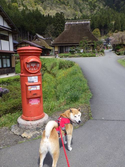 ２月最後の木曜日