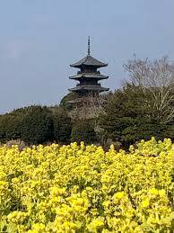 予想最高気温は１０℃