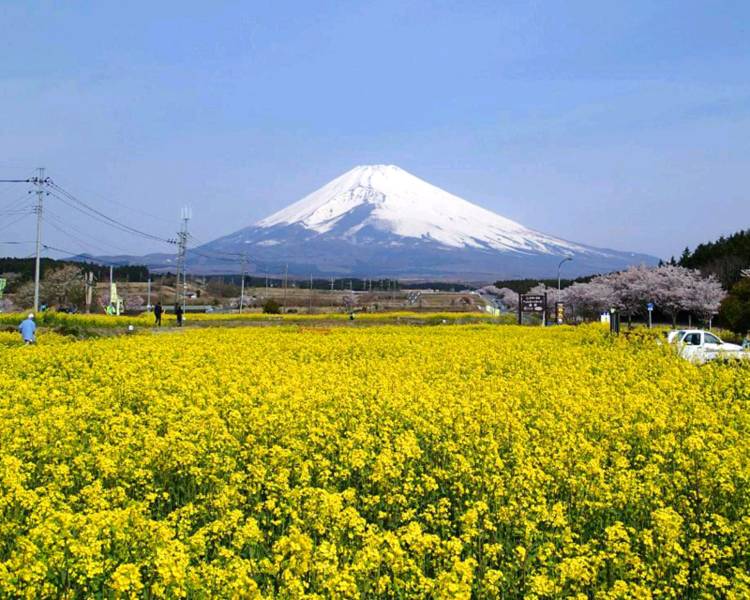 ３月になって初めての金曜日