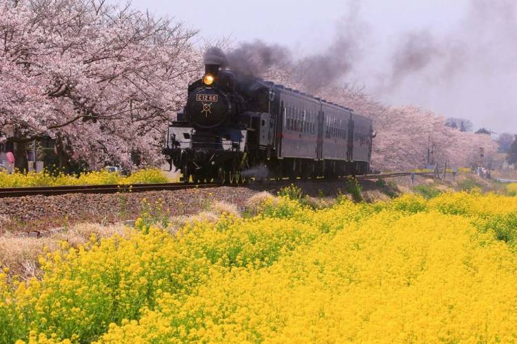 ３月になって２回目の土曜日