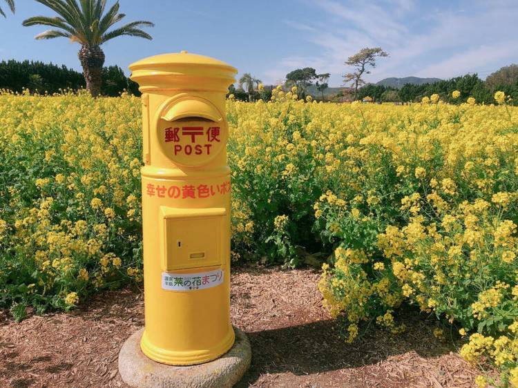 予想最高気温は昨日と同じ１０℃