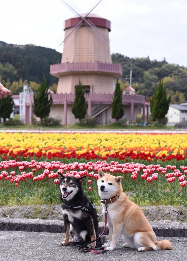 本日も宜しくお願いいたします