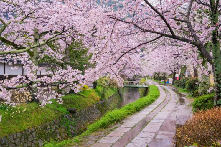 予想最高気温は１４℃