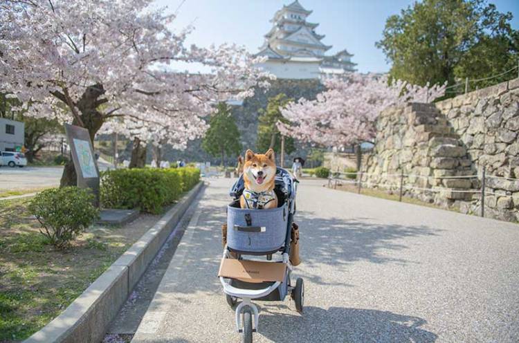 本日も宜しくお願いいたします