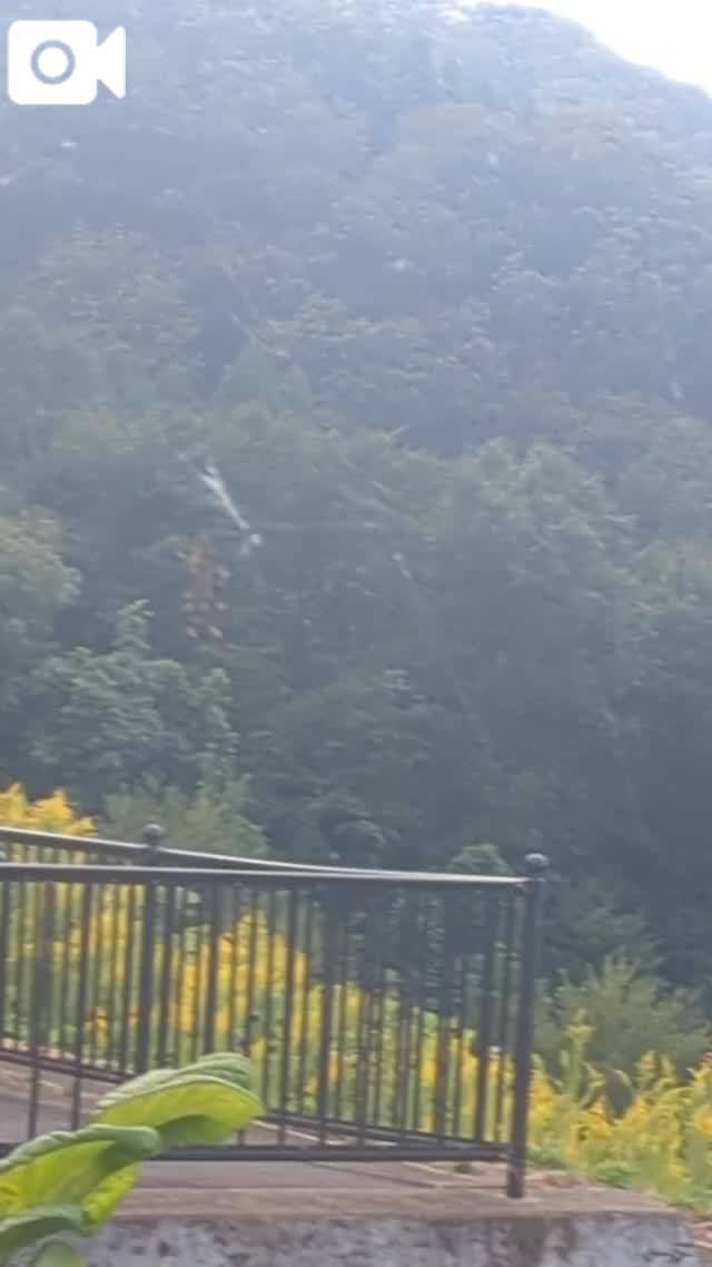 甘えあいたいね