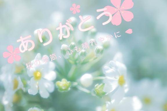 つかれてるけど寝れないね