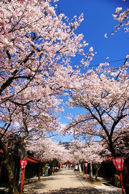 ４月になって３回目の月曜日