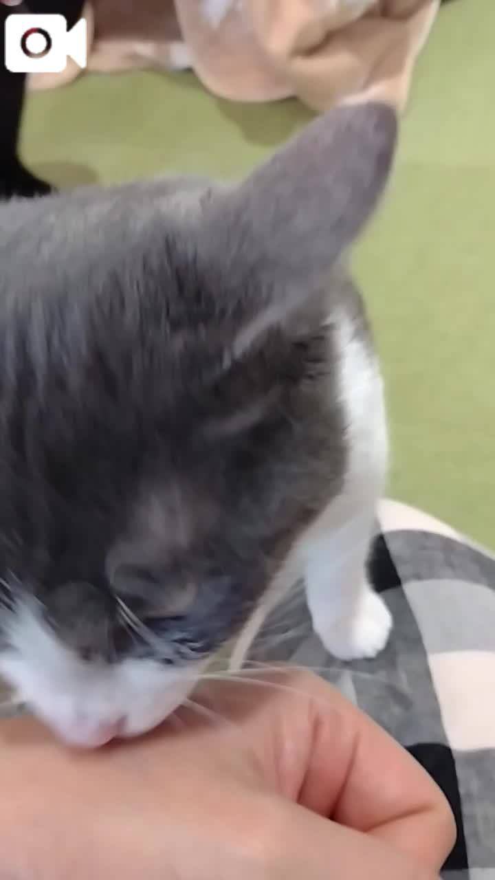 ほっとひと息😻