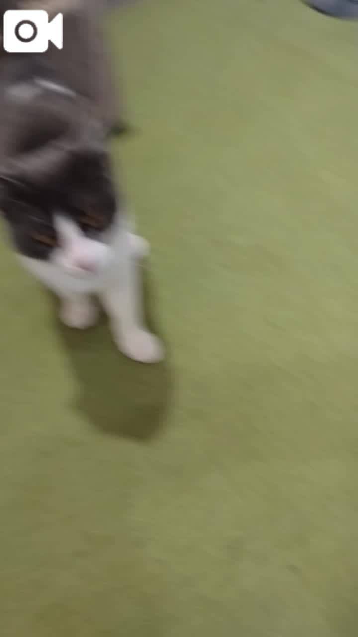 ほっとひと息😻