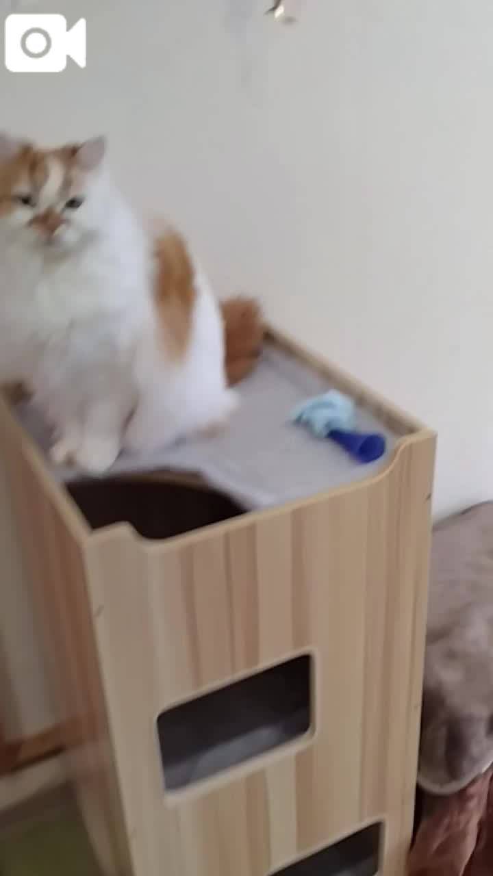 ほっとひと息😻