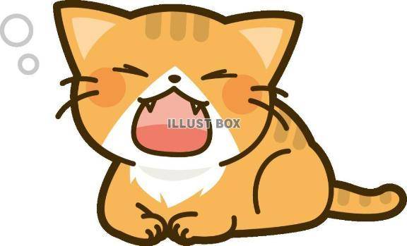 おやすみ