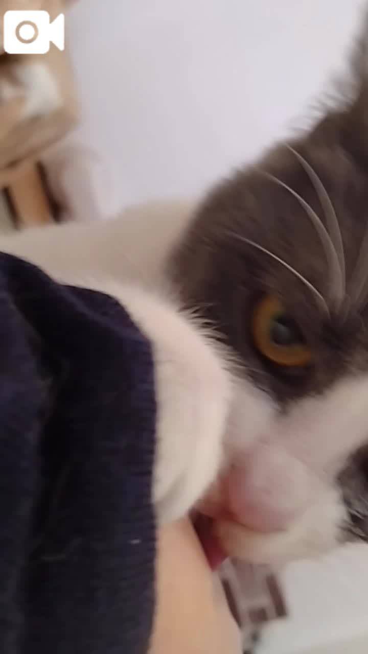 ほっとひと息😻