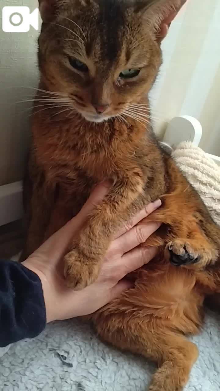 ほっとひと息😻