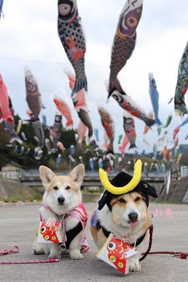 ありがとうございました