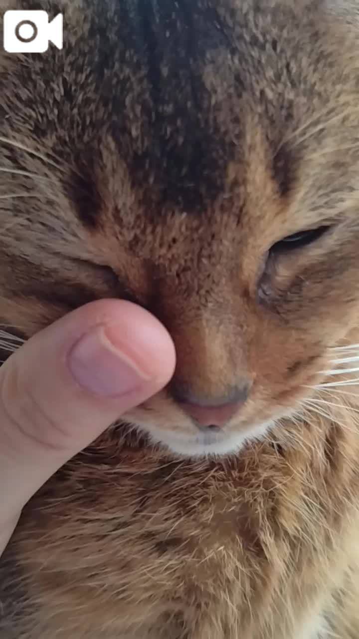 ほっとひと息😻