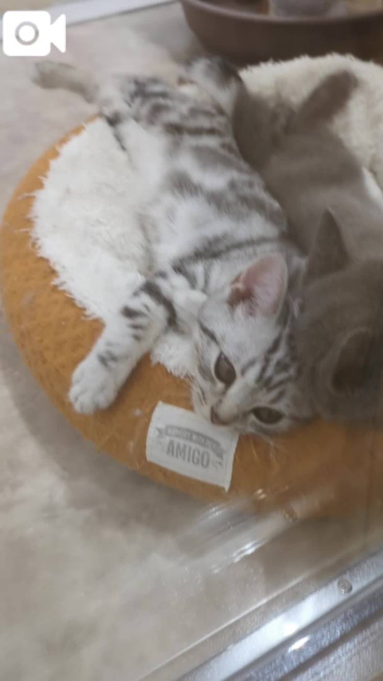明日いくつもりです💘☺️