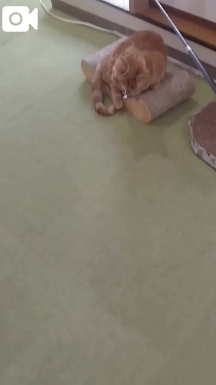 ほっとひと息😻