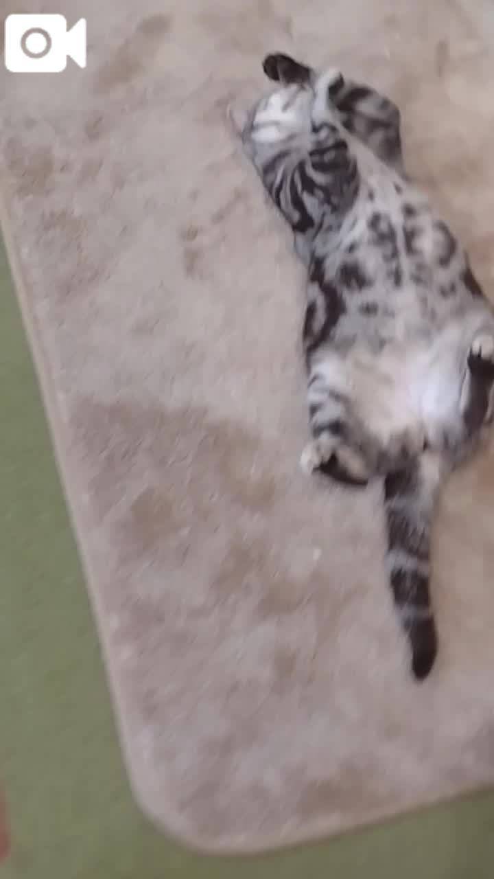 ほっとひと息😻