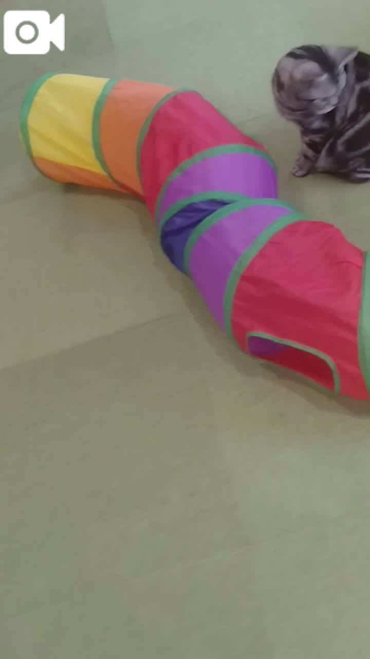 ほっとひと息😻