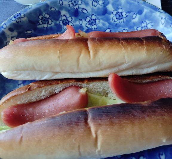 ホットどっくも