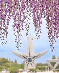 ５月になって２回目の土曜日