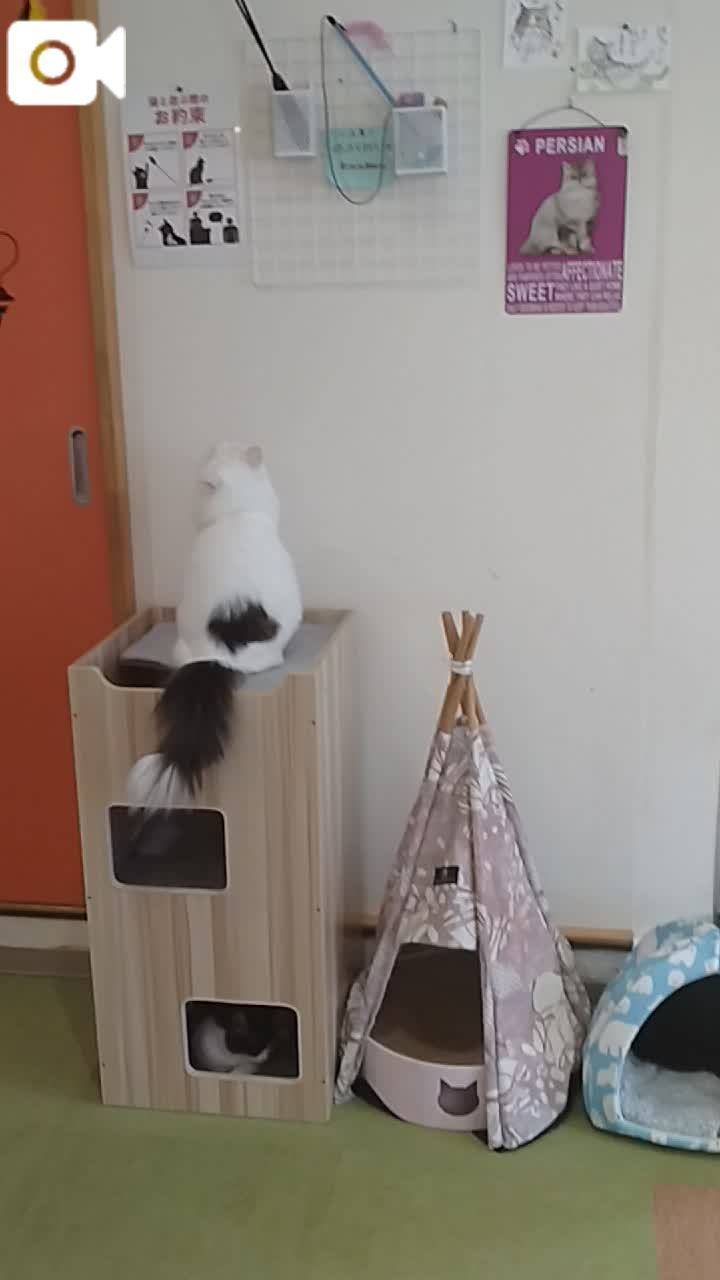 ほっとひと息😻