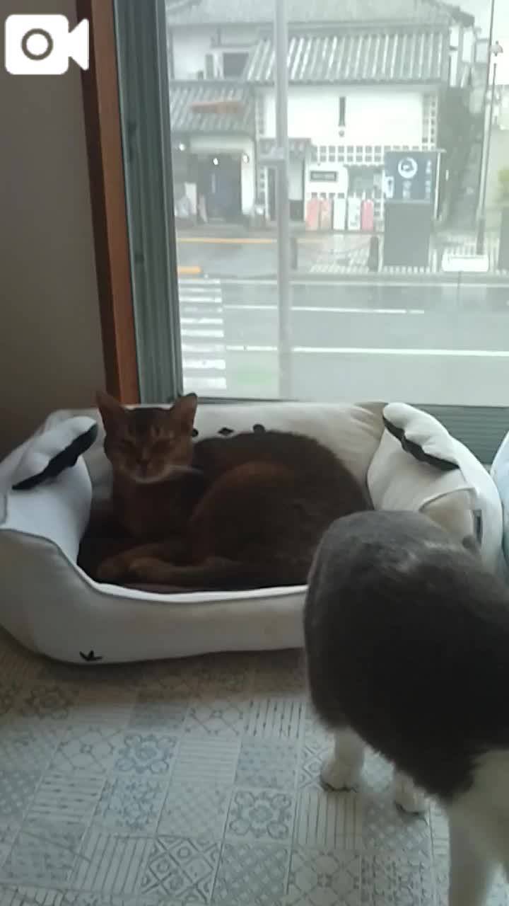 ほっとひと息😻