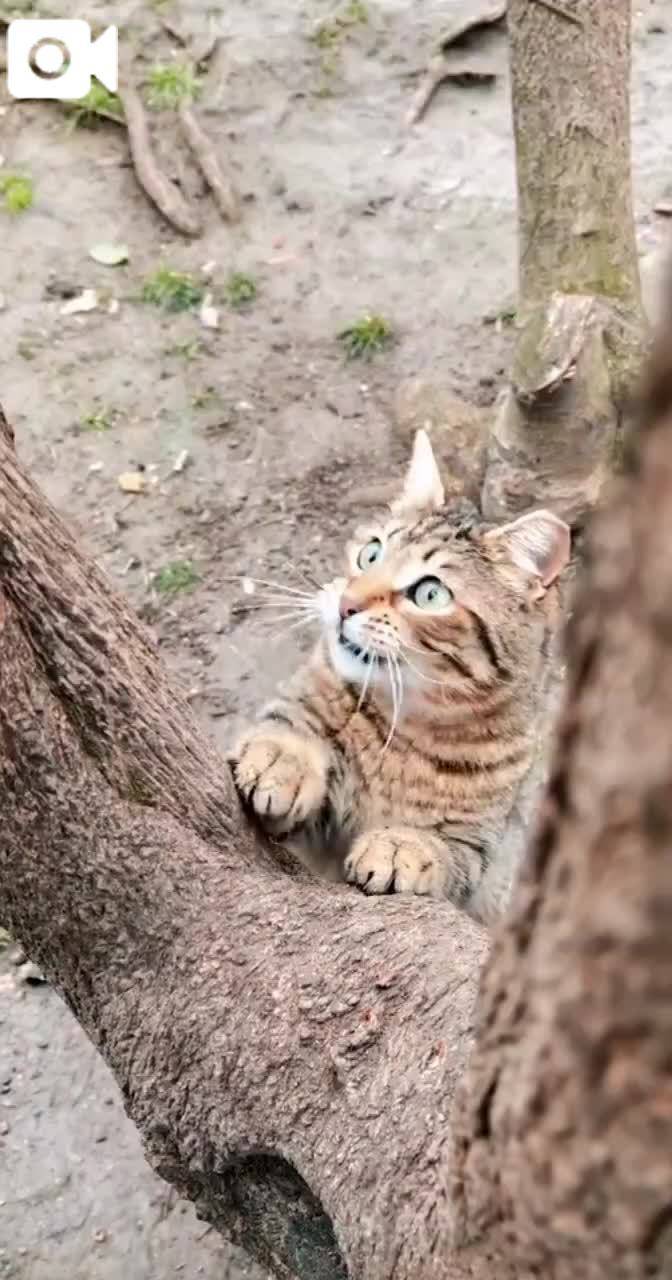 童心に戻りたいな…