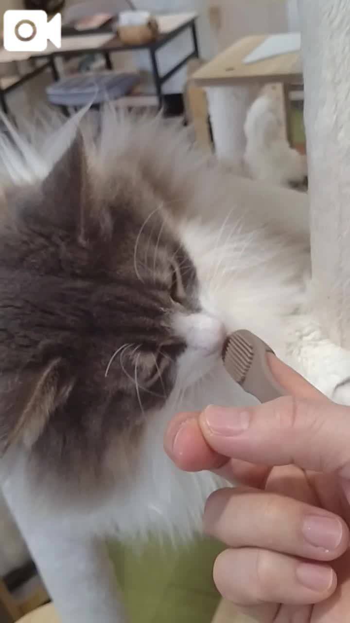 ほっとひと息😻